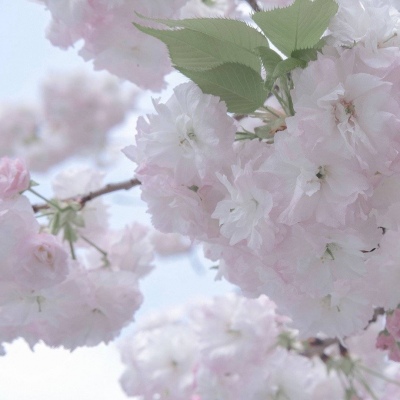 Furry萌系风格设计技巧兽圈社群